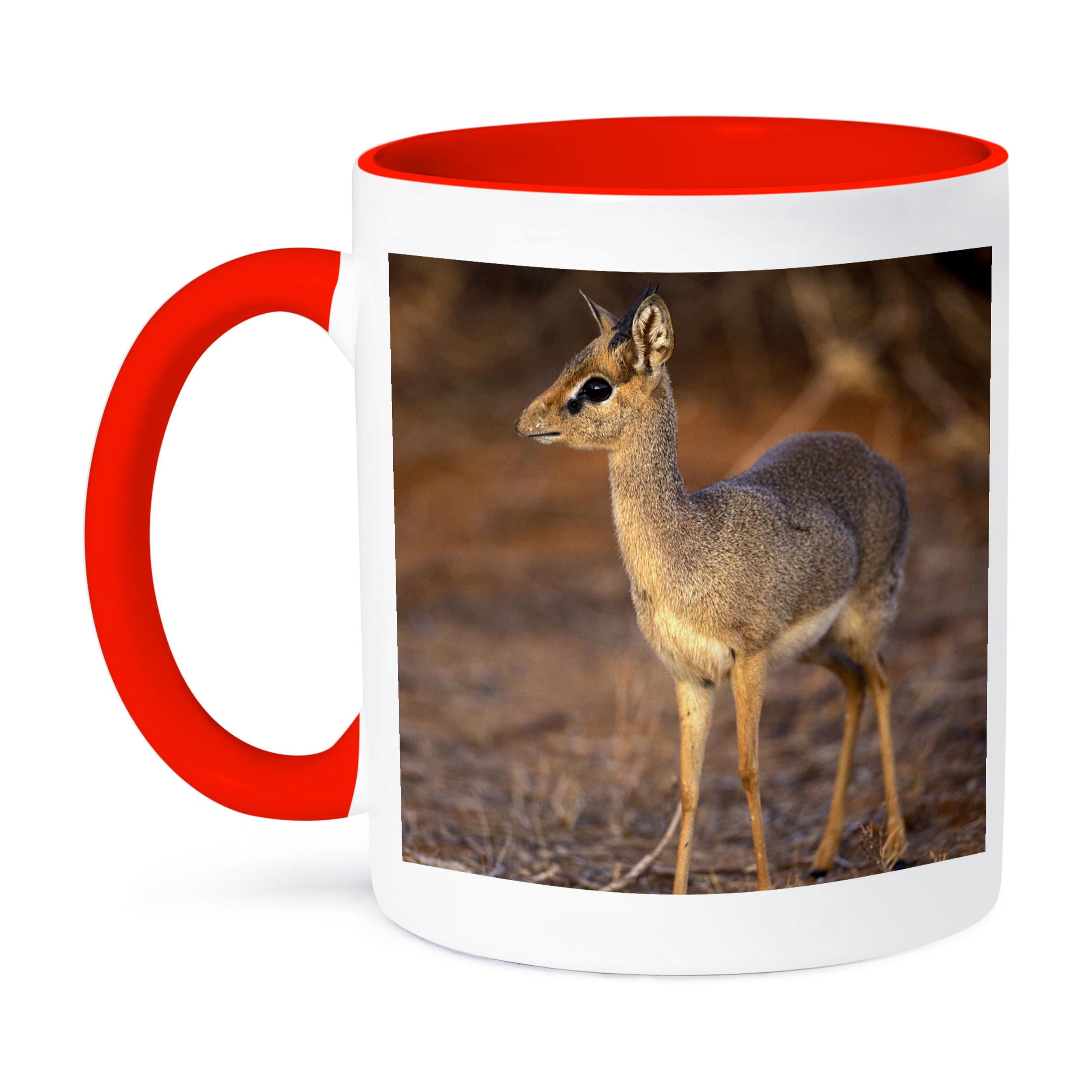 3dRose Ceramic Mug With Dik-Dik Antelope Photo | 15 Oz, Multicolor, Microwave Safe, Double-Sided Print By Adam Jones
