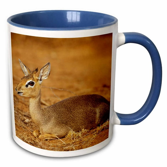 3drose, Kenya, Samburu, Guenthers Long-snouted Dik-dik Antelope-af21 Aje0389 - Adam Jones, 11oz Two-tone Blue Mug