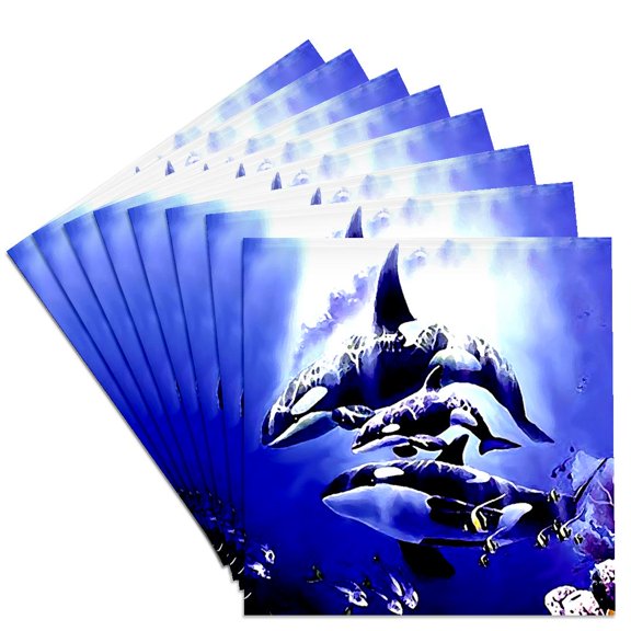 3dRose, Killer Whale, Set of 8 Ceramic Tile Coasters