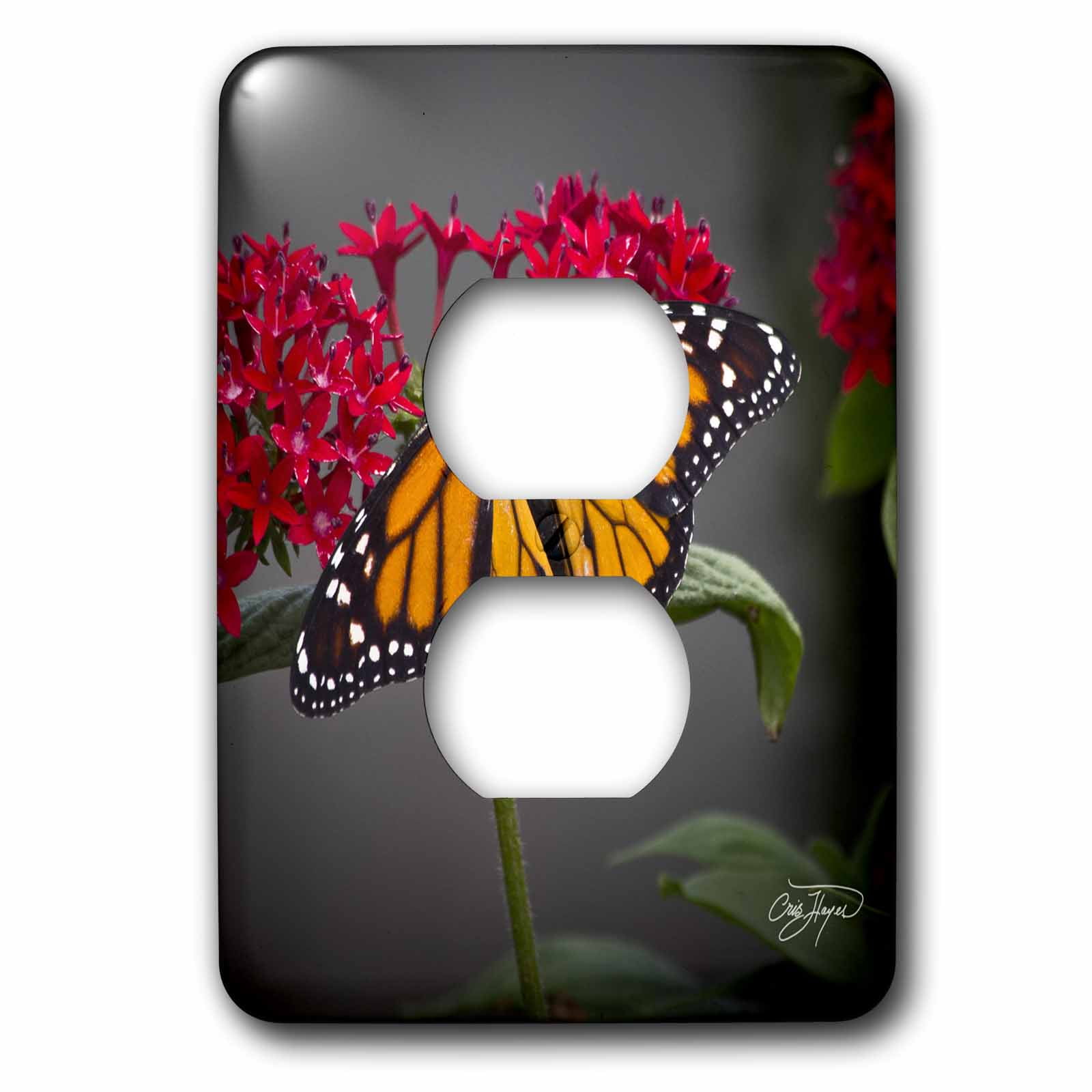 3dRose, Kiss of the Butterfly in Spring with Flowers Décor, 2 plug outlet cover