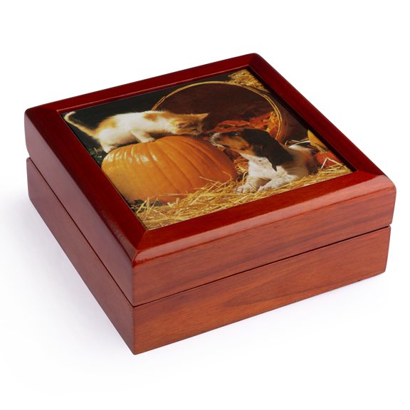 3dRose, Kitten, Puppy and Pumpkin on Canvas, Jewelry Box 5.5x5.5 inch with 4 inch tile