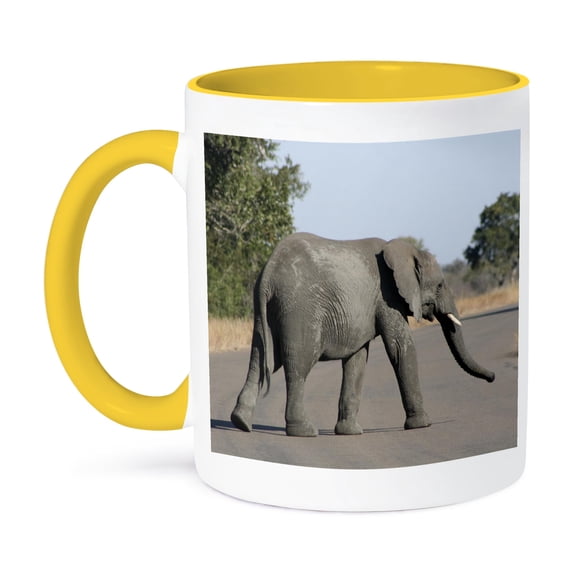 3dRose, Kruger Elephant on road, 15oz Two-Tone Yellow Mug