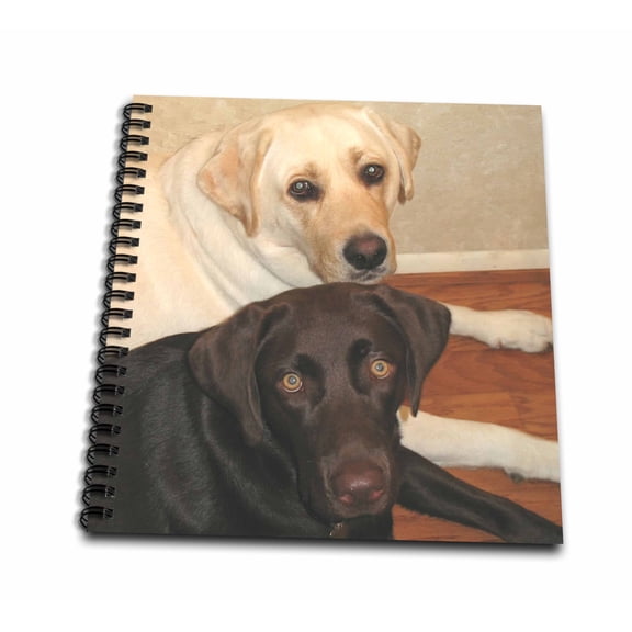 3dRose, Labrador Retriever, Drawing Book 8 x 8 inch