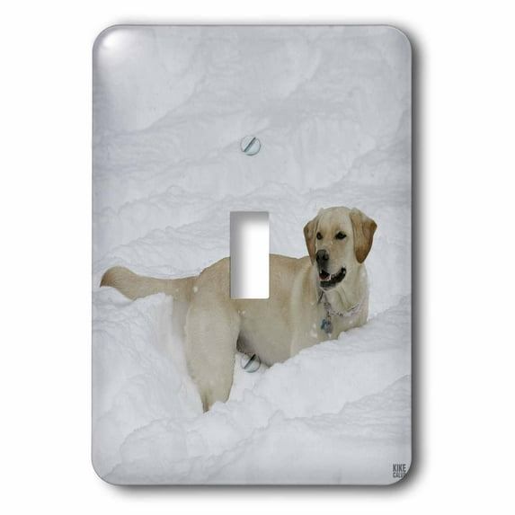 3dRose, Labrador dog running in the snow Central Park, Manhattan, New York, single toggle switch