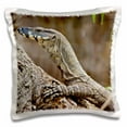 thumbnail image 1 of 3dRose, Lace Monitor, Lizard, Queensland, Australia - NA02 DNO0687 - David Northcott, 16x16 inch Pillow Case, 1 of 1