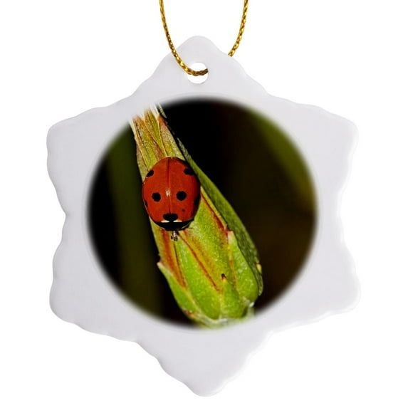 3drose, Lady Bug on Plant, 3 inch Snowflake Porcelain Ornament