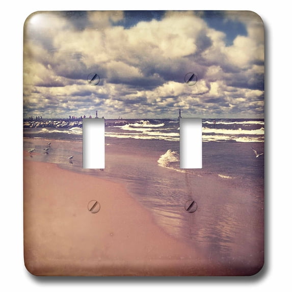 3dRose, Lake Michigan Summer - stylized photograph of a sandy beach with crashing waves, double toggle switch