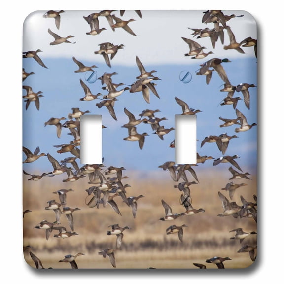 3dRose, Large Flock of Ducks, double toggle switch