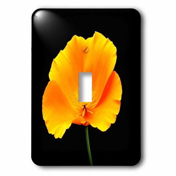 3dRose, Large Orange Poppy On Black, single toggle switch