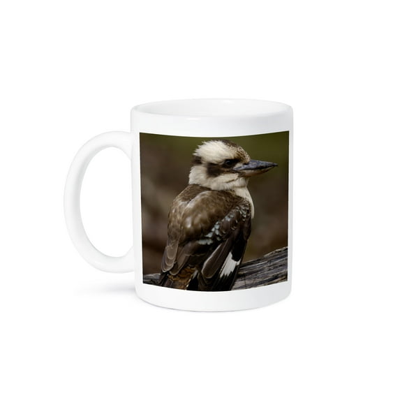 3dRose, Laughing kookaburra bird, Stradbroke Island, Australia-AU01 POX0046 - Pete Oxford, 11oz Mug