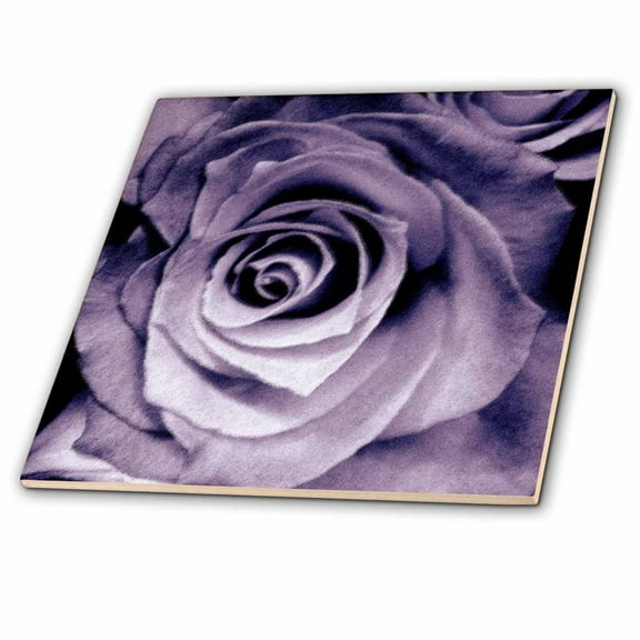 3dRose, Lavender purple rose, 4 Inch Ceramic Tile
