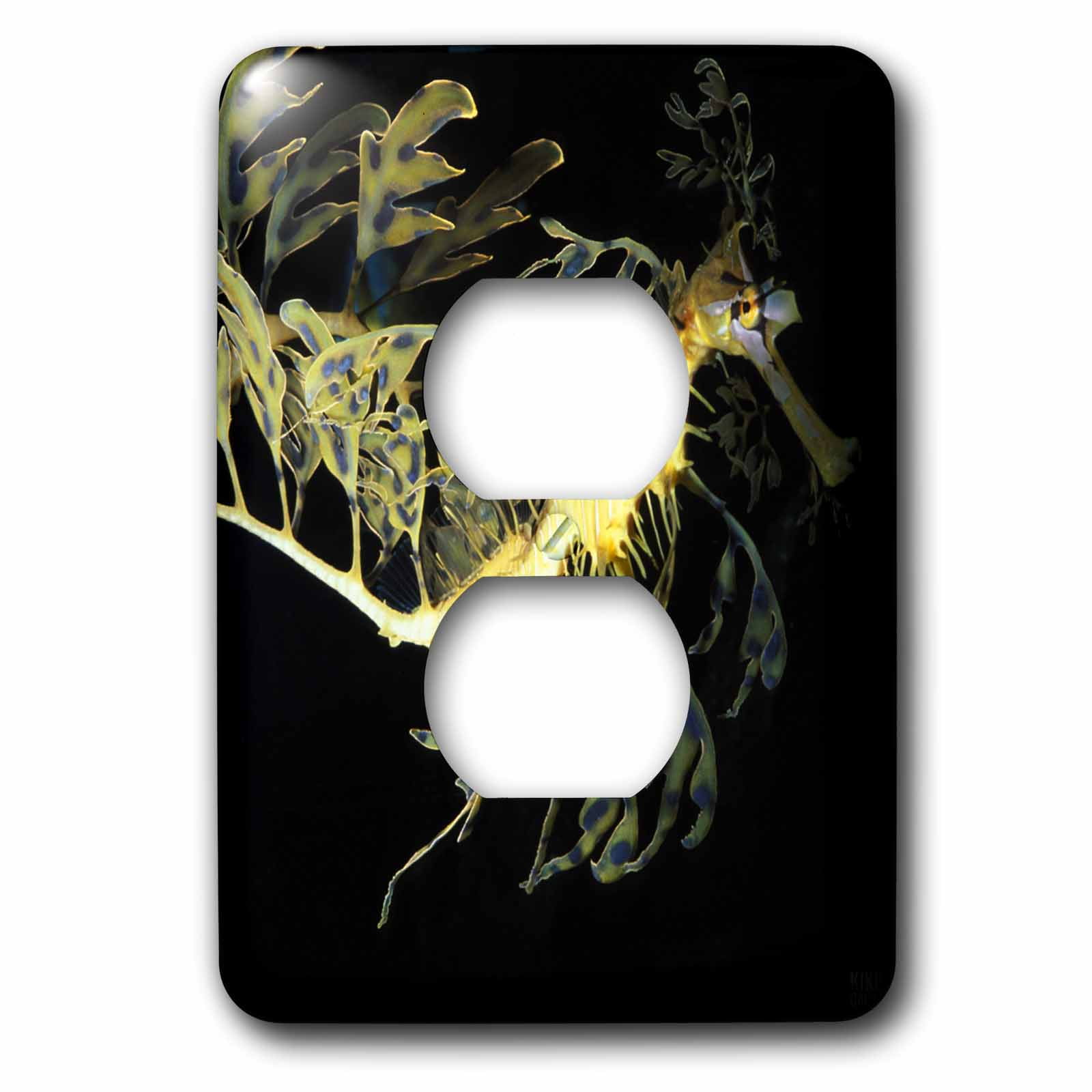 3dRose, Leafy Sea Dragon Seahorse, Phycodurus eques,, 2 plug outlet cover