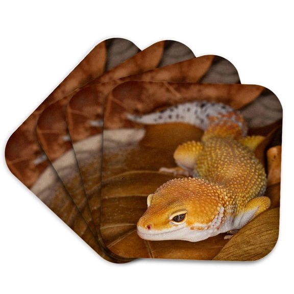 3drose, Leopard Gecko Morph, Lizard, Pakistan-as28 Aje0000 - Adam Jones, Set of 4 Coasters - Soft