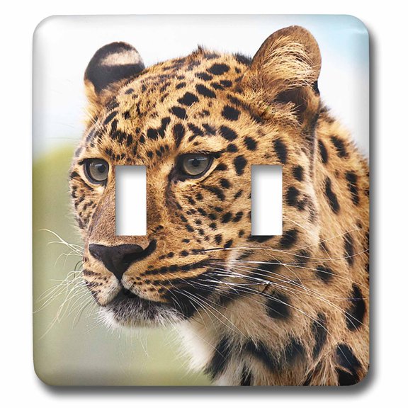 3dRose, Leopard, wild animal, zoo, double toggle switch