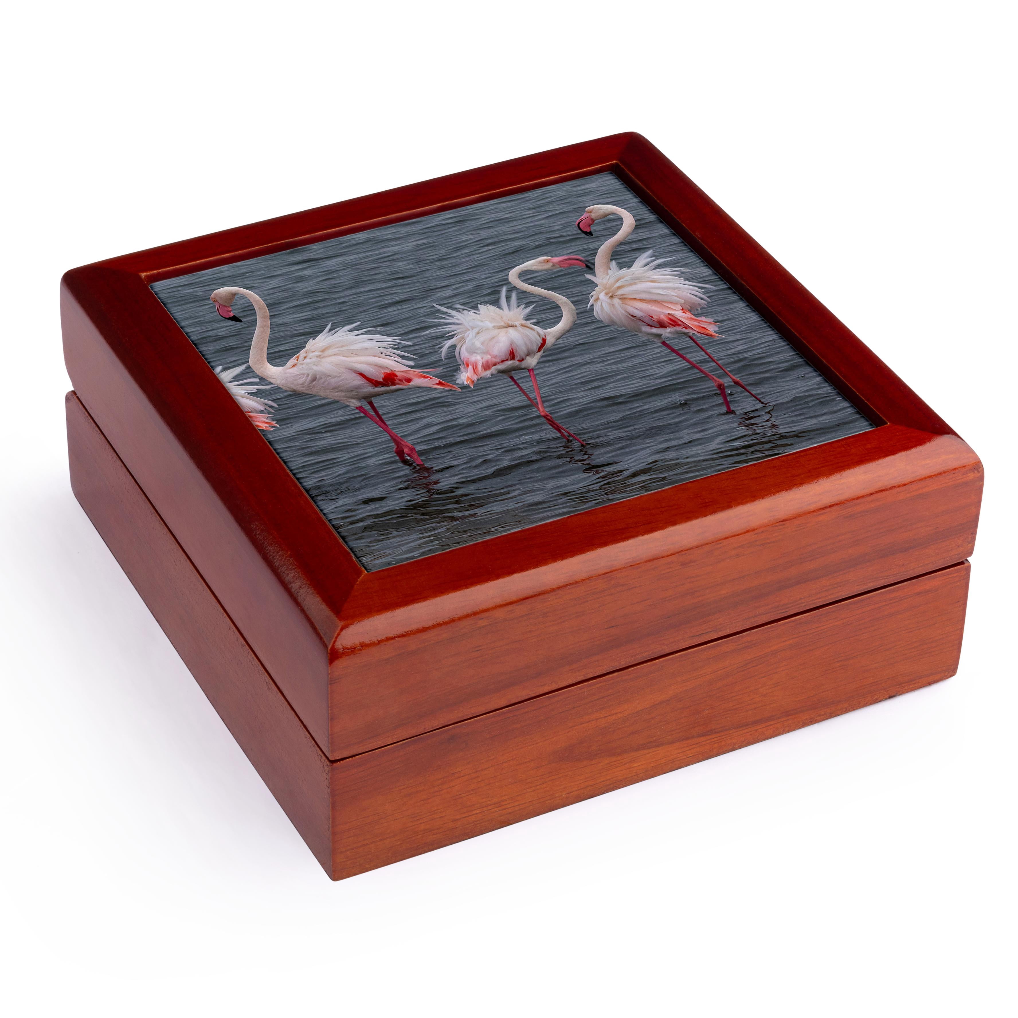 3dRose, Lesser flamingo, Namib-Naukluft National Park 2, Jewelry Box 5.5x5.5 inch with 4 inch tile