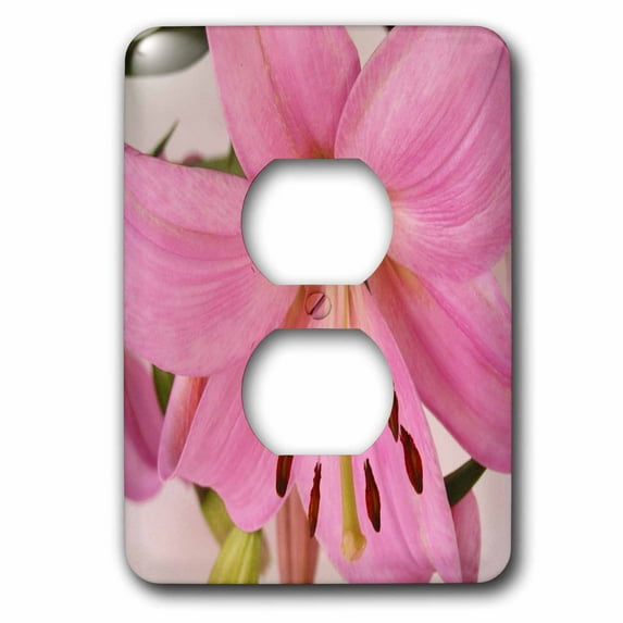 3dRose, Light Pink Oriental Lily, 2 plug outlet cover