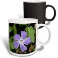 thumbnail image 1 of 3drose, Lilac Periwinkle Flower, 11oz Magic Transforming Mug, 1 of 7