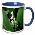 thumbnail image 1 of 3drose, Lily of the Valley, 11oz Two-tone Blue Mug, 1 of 6