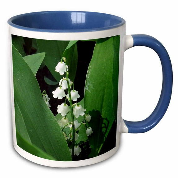 3drose, Lily of the Valley, 11oz Two-tone Blue Mug