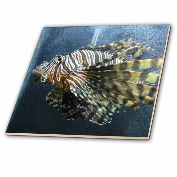 3dRose, Lion Fish, 12 Inch Ceramic Tile