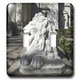 thumbnail image 1 of 3dRose, Lion, Santa Candida, Argentina - SA01 MME0105 - Michele Molinari, double toggle switch, 1 of 1