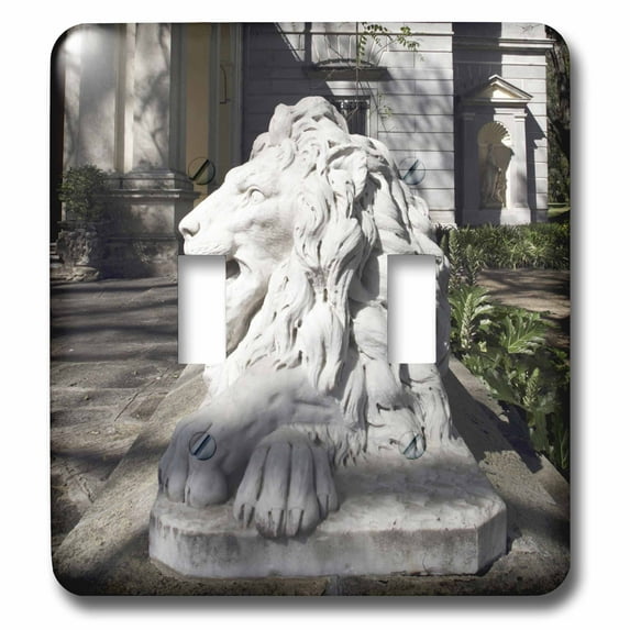 3dRose, Lion, Santa Candida, Argentina - SA01 MME0105 - Michele Molinari, double toggle switch
