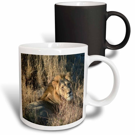 3drose, Lion King in the Grass, 11oz Magic Transforming Mug