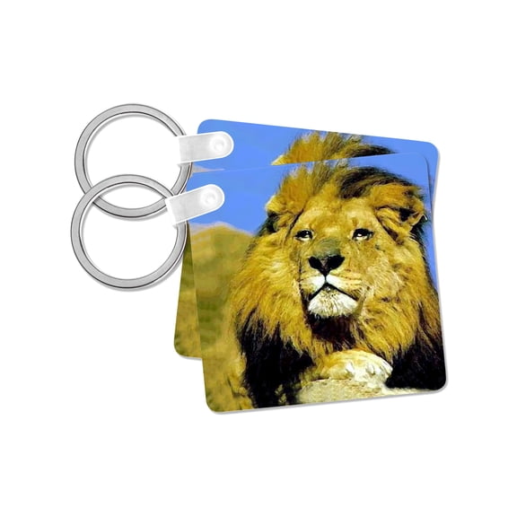 3dRose, Lion, set of 2 Key Chains