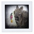 thumbnail image 1 of 3dRose, Lionhead Bunny in a Teacup, 12x12 inch quilt square, 1 of 1