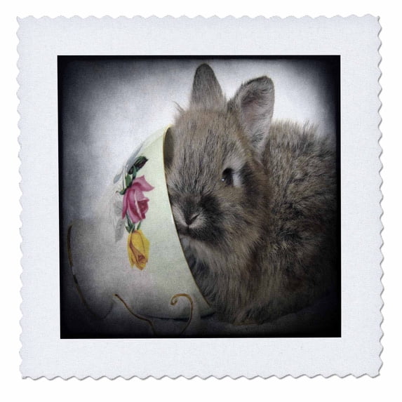3dRose, Lionhead Bunny in a Teacup, 12x12 inch quilt square