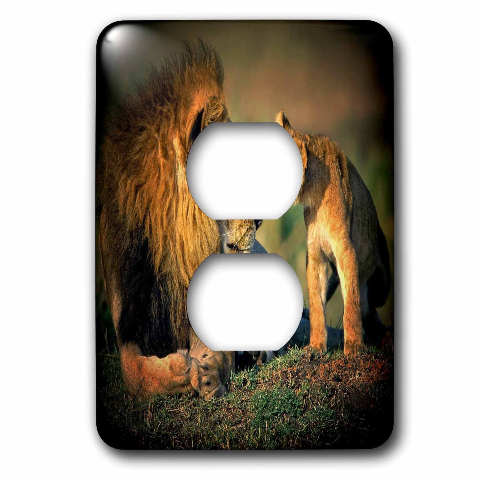 3dRose, Lions Father and Son, 2 plug outlet cover