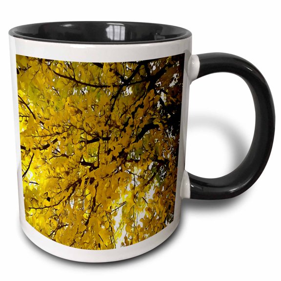 3drose, Liquid Amber Autumn Vibes Fall Abstract, 11oz Two-tone Black Mug