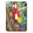 thumbnail image 1 of 3dRose, Live Parrot On Tropical Tree , single toggle switch, 1 of 1