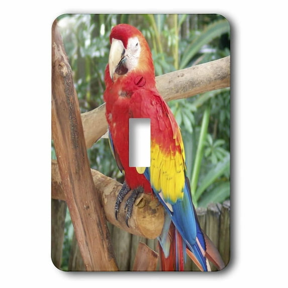3dRose, Live Parrot On Tropical Tree , single toggle switch