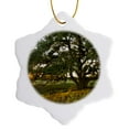 thumbnail image 1 of 3drose, Live Oak Tree at Sunset, Central Texas, Usa - Us44 Ldi0969 - Larry Ditto, 3 inch Snowflake Porcelain Ornament, 1 of 7