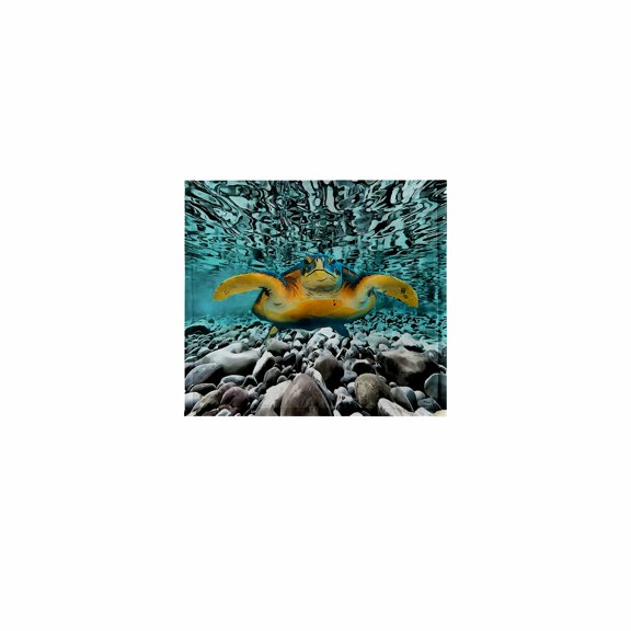3dRose, Loggerhead Turtle Artistic Wildlife Design, 11x12 Wash Cloth for Face and Body