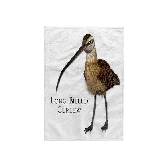 3dRose, Long-Billed Curlew Shorebird, 15x22 Hand Towel