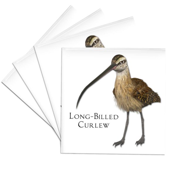 3dRose, Long-Billed Curlew Shorebird, Set of 4 Ceramic Tile Coasters