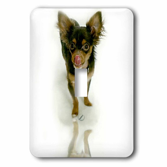 3dRose, Long Hair Chihuahua, single toggle switch