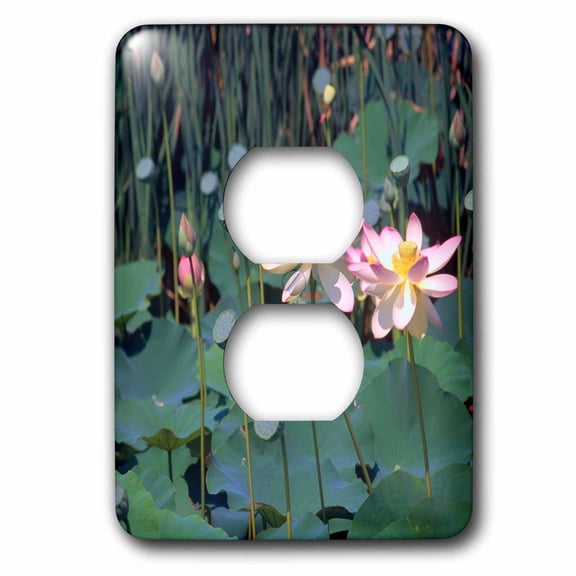 3dRose, Lotus Blooming, 2 plug outlet cover