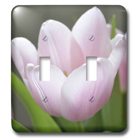 3dRose, Love Pink Tulip Flower - Floral Photography, double toggle switch
