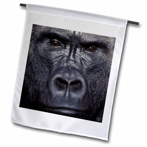 3dRose, Lowland Gorilla, 12 x 18 inch Garden Flag