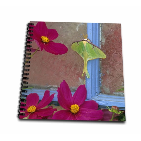 3dRose, Luna Moth insect on Old Window with Cosmos - NA01 BJA0020 - Jaynes Gallery, Mini Notepad 4 x 4 inch