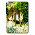 thumbnail image 1 of 3dRose, Lynx On The Prowl, single toggle switch, 1 of 1