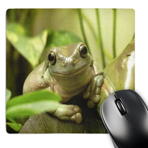 3dRose, Macro Of Cute Frog Face, MousePad