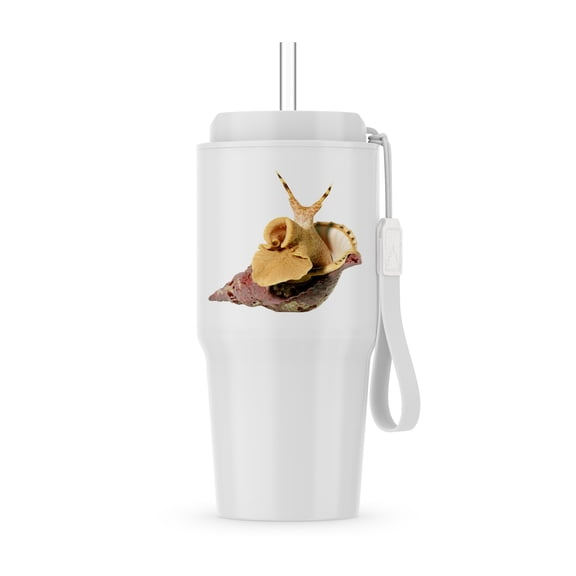 Macro Picture Of Snail, 20oz Tumbler