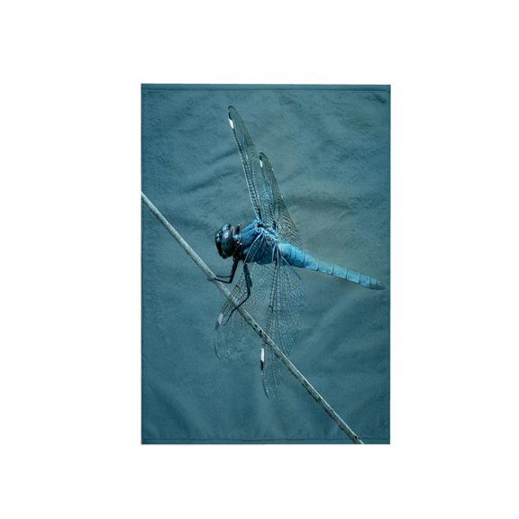 3dRose, Macro close up of a blue darner dragon fly insect, 15x22 Hand Towel
