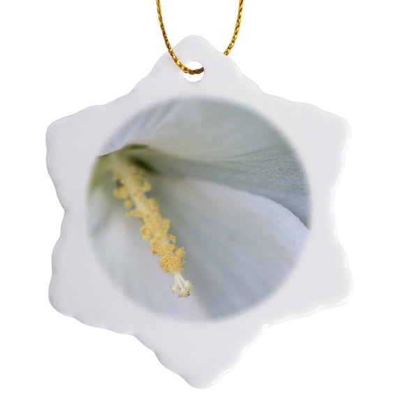 3drose, Macro Photograph of a Pure White Rose of Sharon Flower., 3 inch Snowflake Porcelain Ornament