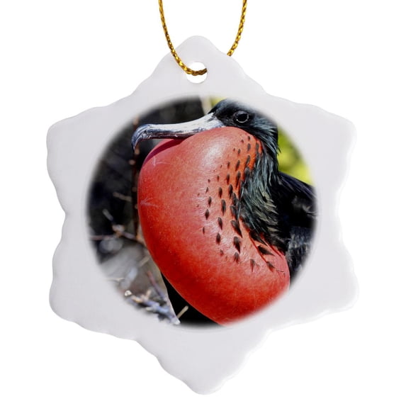 3drose, Magnificient Frigatebird,fregata Magnificens,, 3 inch Snowflake Porcelain Ornament
