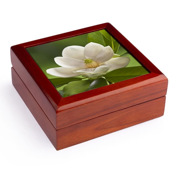 3dRose, Magnolia Tree Flower Blossom - NA01 AJE0188 - Adam Jones, Jewelry Box 5.5x5.5 inch with 4 inch tile